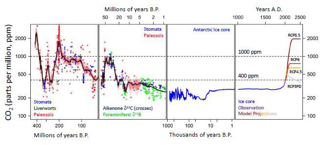 CO2 levels historic